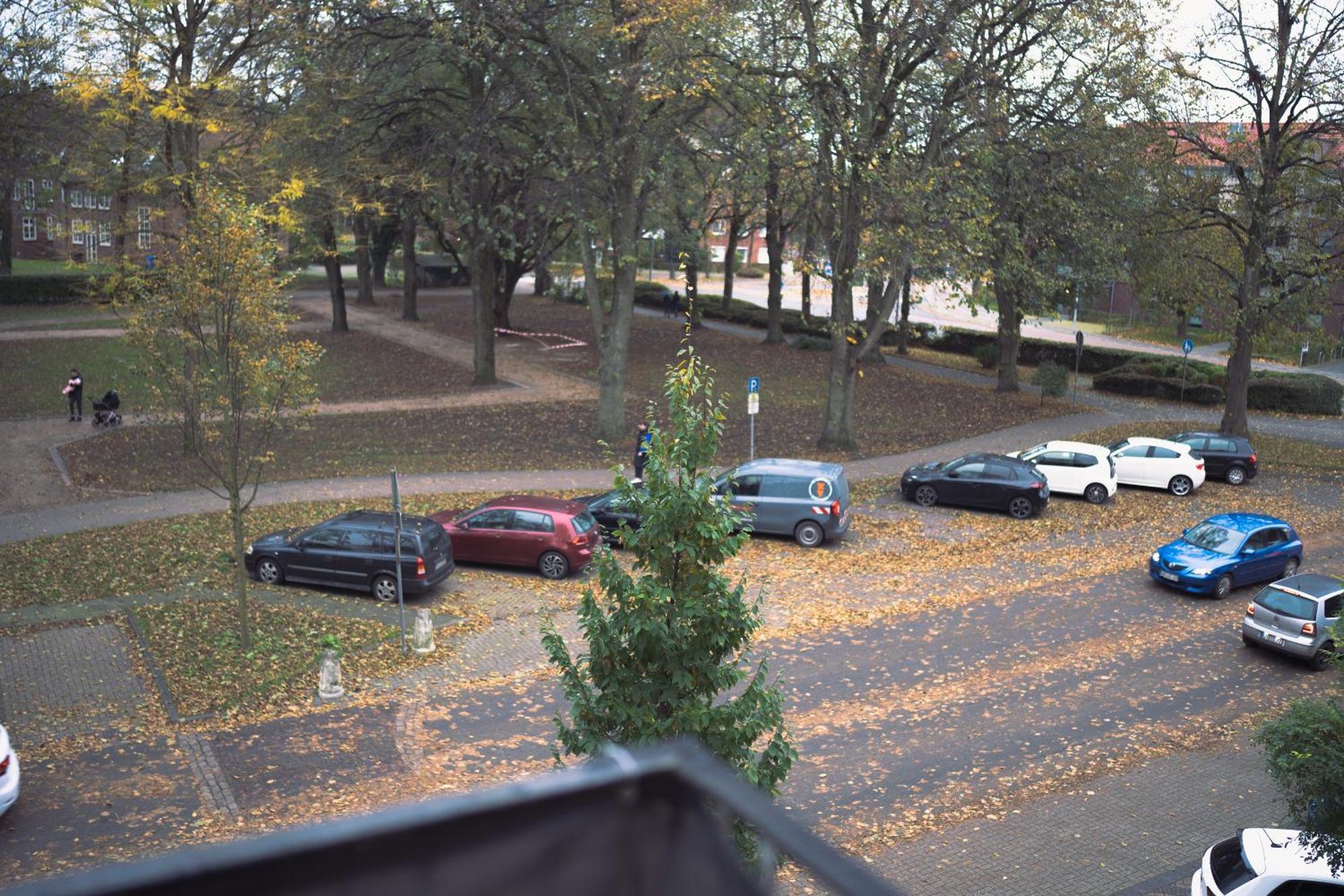 Stadtwohnung Mit Stadtpark Blick * Emden